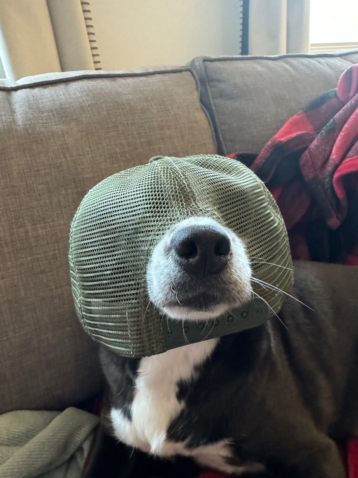 FOTF All Mesh Snapback Hat